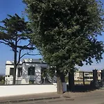 Al Tartarughino 4* Cercola