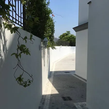 Al Tartarughino 4*